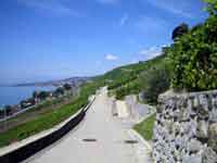 Radweg Lavaux